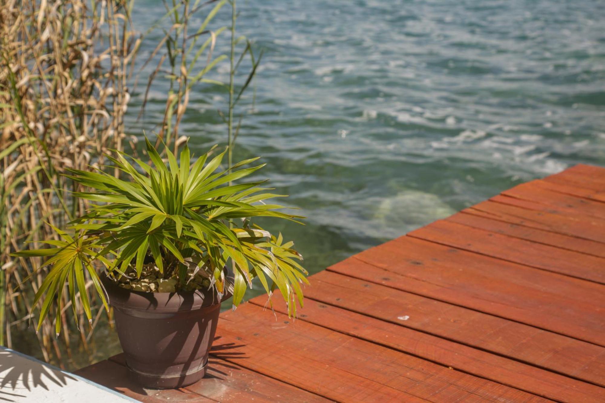 Seven Blue House Village&Lodge Bacalar Exteriör bild